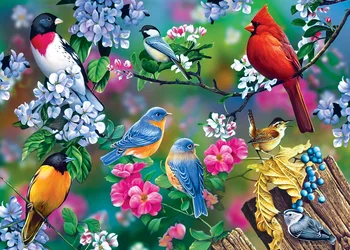 Jmine Div 5D, Красочная птица, цветок, Полная алмазная живопись, наборы для вышивки крестом, Высококачественная Анималистическая 3D-краска с бриллиантами