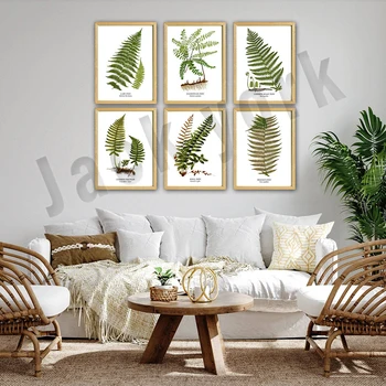 Плакат с папоротником штата Мэн, зеленые листья папоротника, ботаническое искусство, домашний декор из папоротника на стене кухни, ботаническая иллюстрация