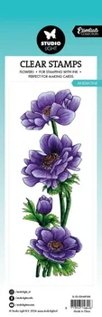 Цветы с прозрачным штампом Anemone для фотоальбома 